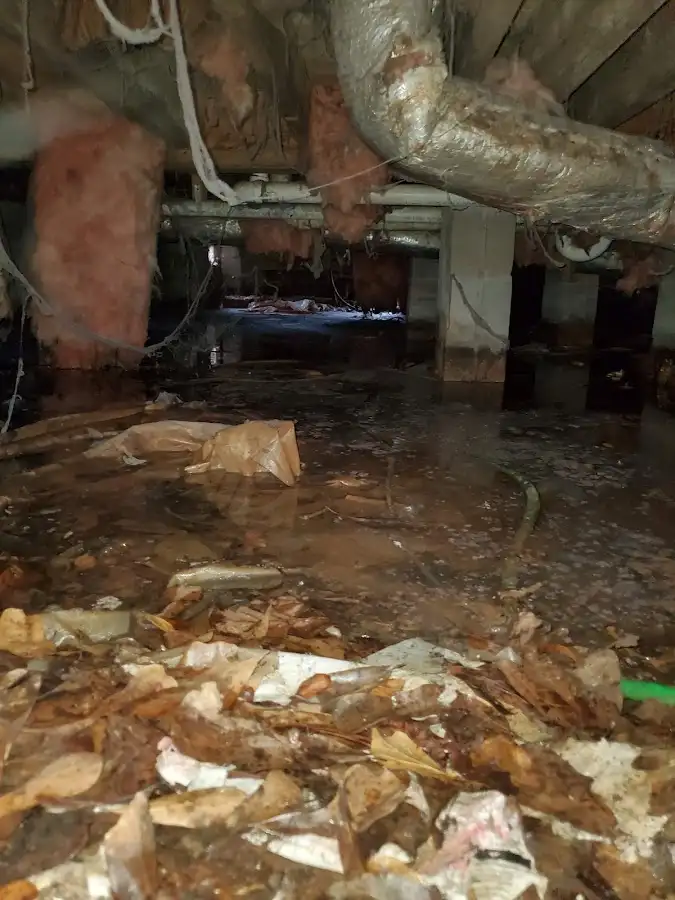 Crawl space flood assessment for Leak Detection & Repair in Northchase