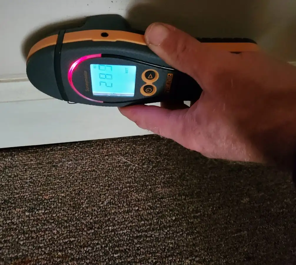 Moisture detection at baseboard during Sewage Cleanup & Sanitation in Northchase